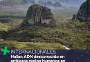 Hallan ADN desconocido en antiguos restos humanos en Colombia